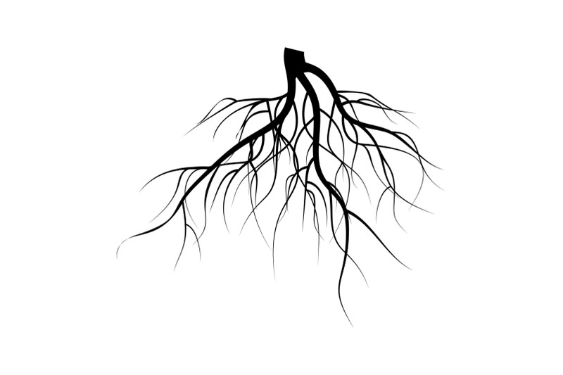 tree-underground-roots-vector-set-illustration-isolated-on-white-background