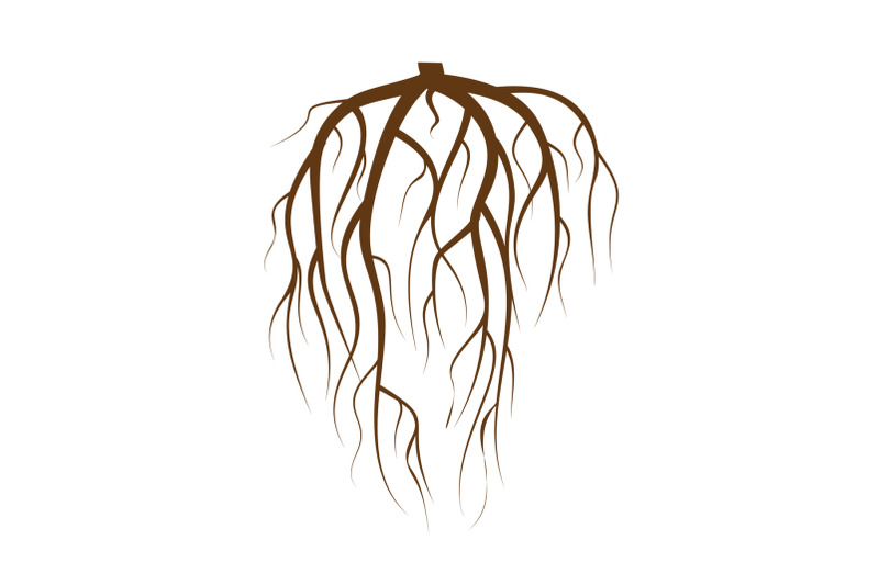 tree-underground-roots-vector-brown-tree-root-on-white-background-flat-isolated-illustration