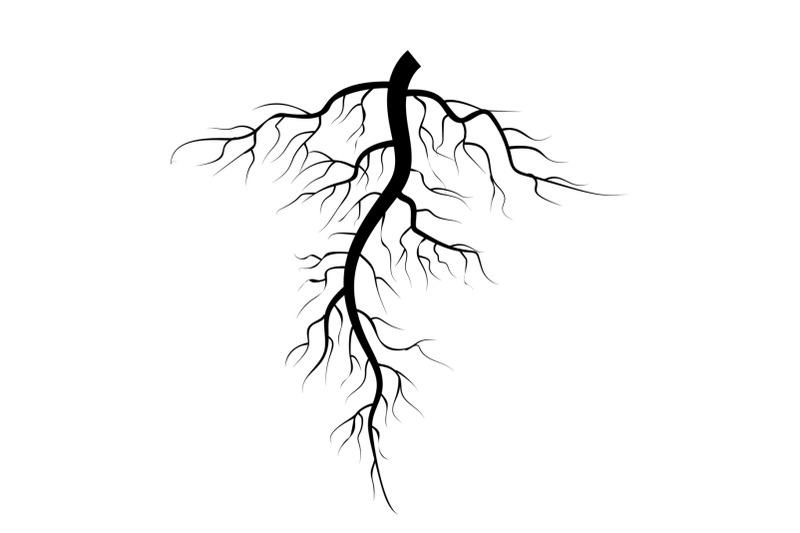 tree-underground-roots-vector-set-illustration-isolated-on-white-background