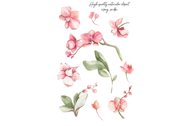watercolor-clipart-of-orchids-in-pink-colours-floral-digital-set
