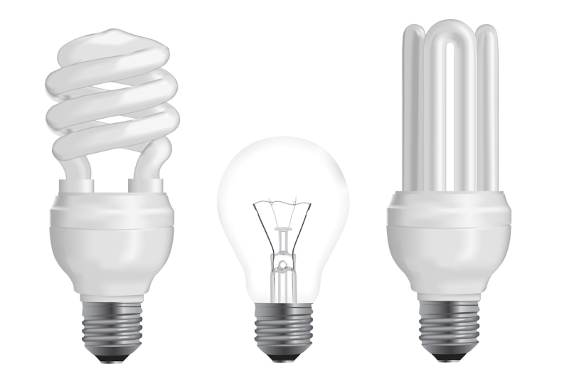 incandescent-and-fluorescent-energy-efficiency-light-bulbs-vector-illustration