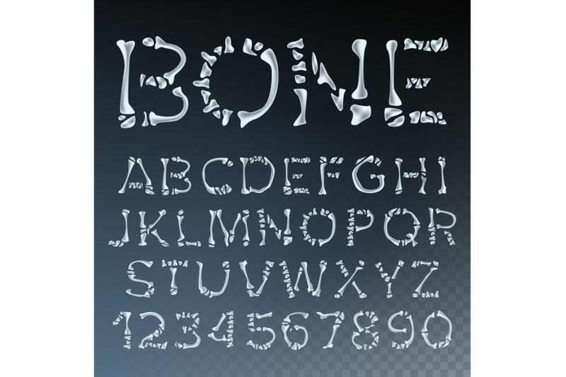 bone-font-vector-letters-anatomy-abc-alphabet-skeleton-style-hell-scary-alphabet-isolated-transparent-illustration