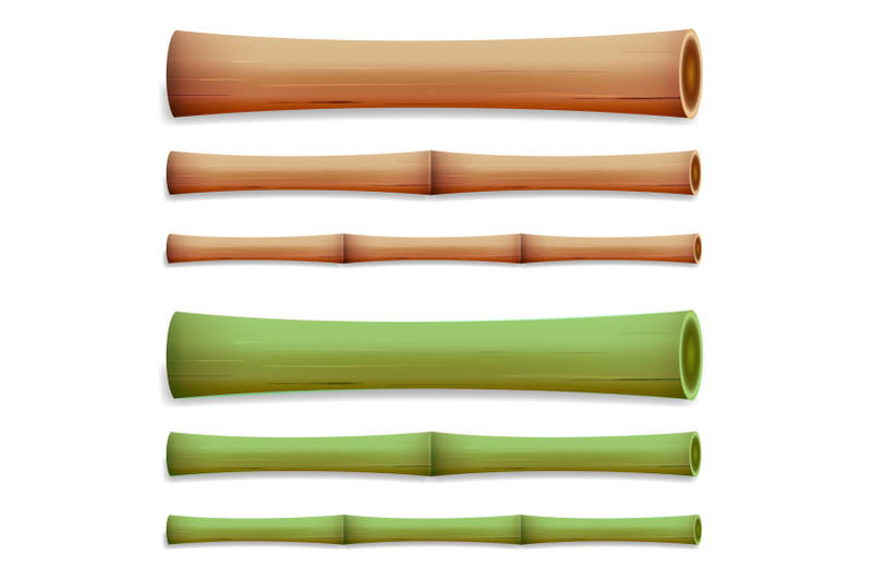bamboo-stems-isolated-green-and-brown