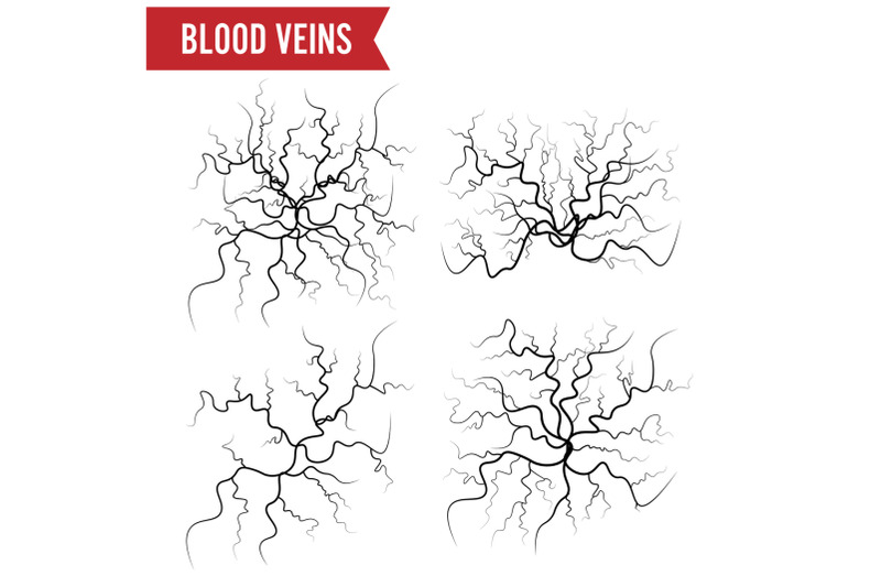 human-blood-veins-vector-blood-arteries-isolated-on-white-set-of-blood-veins-image-of-health-red-veins-illustration