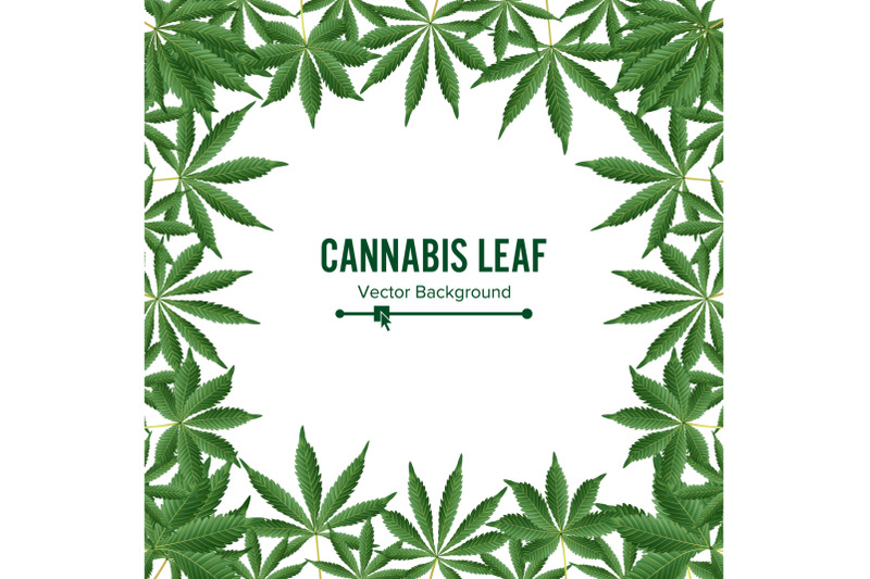 cannabis-background-vector-marijuana-frame-green-leaf