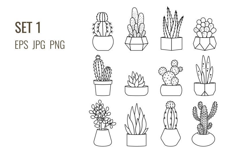 outline-cacti-and-succulents-set