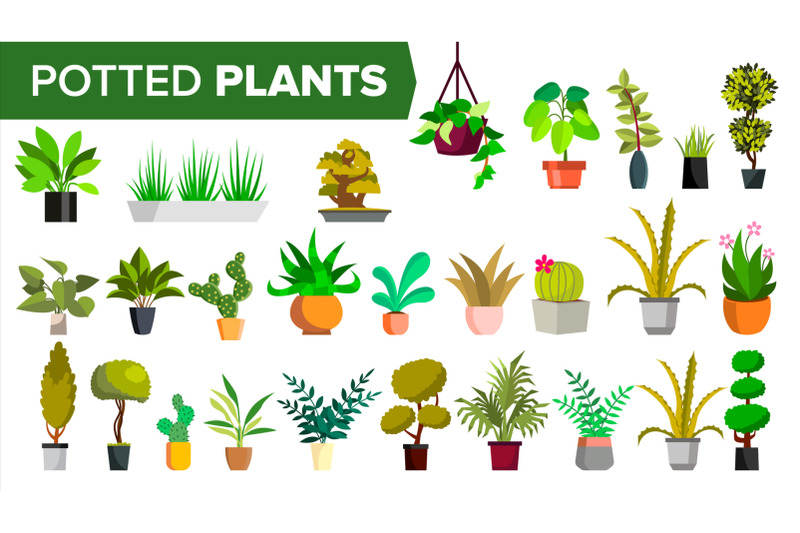 potted-plants-set-vector-green-color-plants-in-pot-indoor-home-office-modern-houseplants-various-floral-interior-icon-decoration-design-element-isolated-illustration