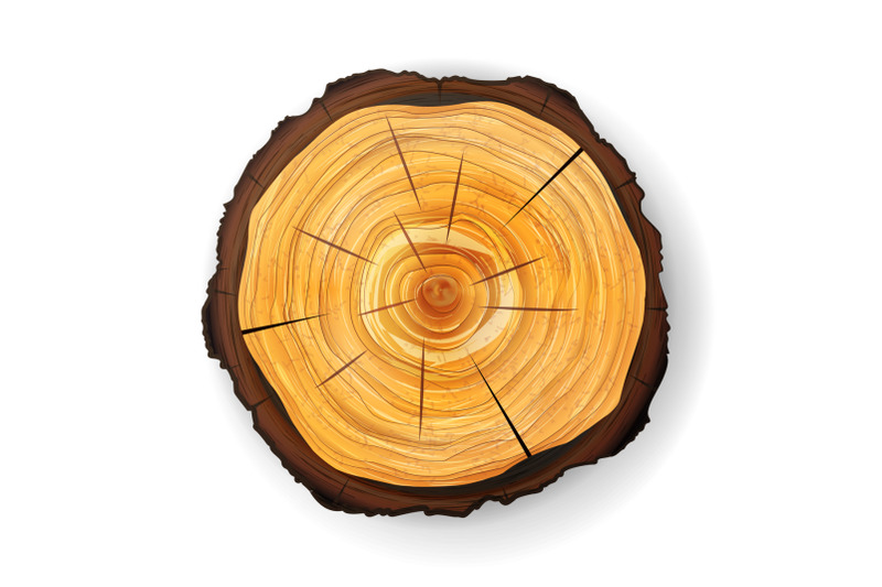 cross-section-tree-wooden-stump-vector-round-cut-with-annual-rings