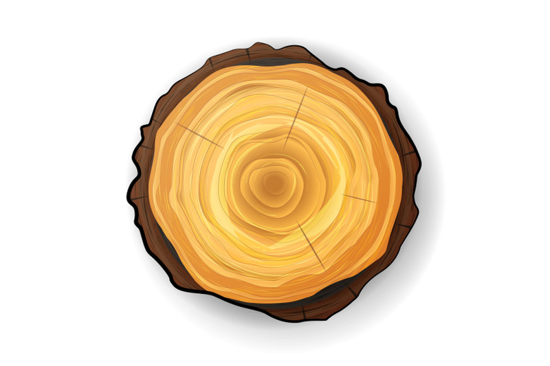 cross-section-tree-wooden-stump-vector-tree-round-cut-with-annual-rings