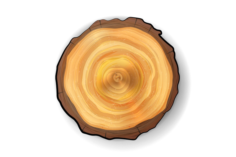 cross-section-tree-wooden-stump-vector