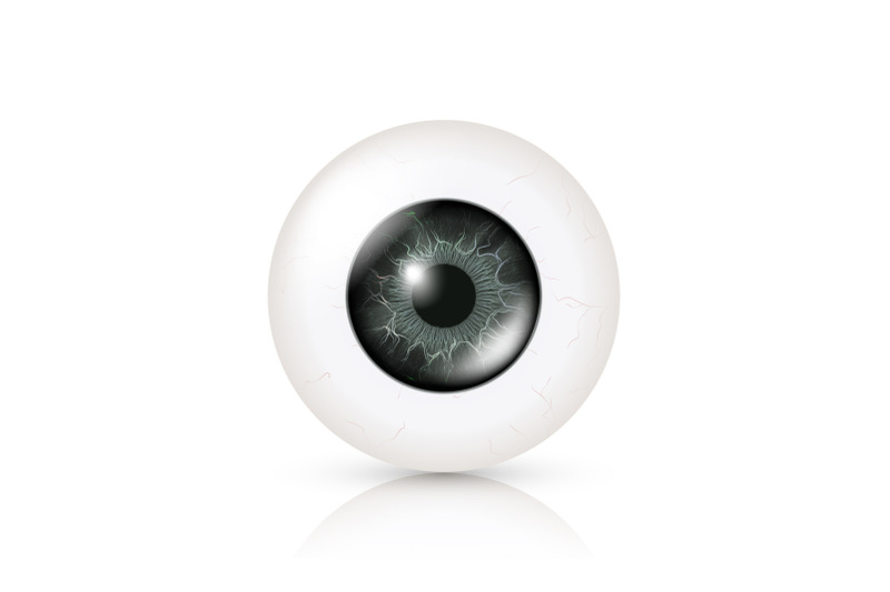 eye-realistic-vector-illustration-of-3d-human-glossy-photo-rrealistic-eye-with-shadow-and-reflection-front-view-isolated-on-white-background