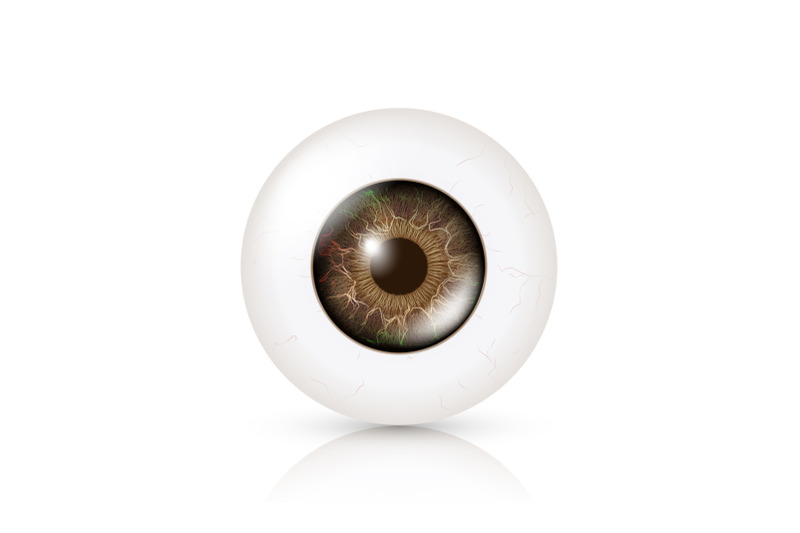 photo-realistic-eyeball-human-retina-vector-illustration-of-3d-human-glossy-eye-with-shadow-and-reflection-front-view-isolated-on-white-background