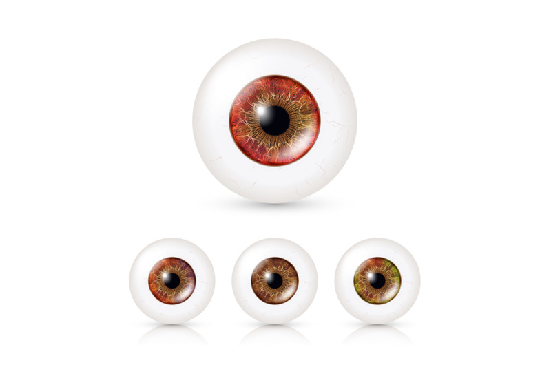 human-eyeballs-set