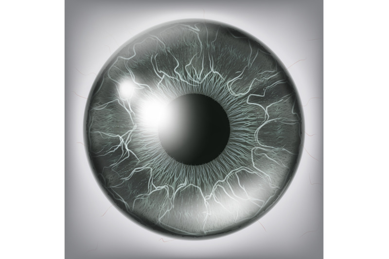 human-eye-iris-close-up-vector-healthy-medical-concept-illustration