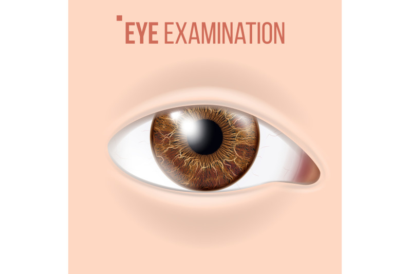 human-eye-vector-vision-concept-clinic-medical-eye-diagnostic-realistic-detail-illustration