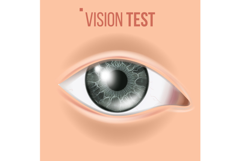 human-eye-vector-sight-eyesight-body-care-realistic-detail-vision-illustration