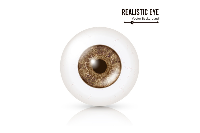 photo-realistic-eyeball-human-retina-vector-illustration-of-3d-human-glossy-eye-with-shadow-and-reflection-front-view-isolated-on-white-background