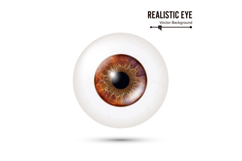 realistic-detailed-human-eyeball-vector-illustration