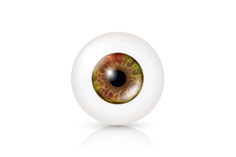realistic-detailed-human-eyeball-vector-illustration