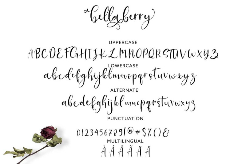 bellaberry-handwritten-script