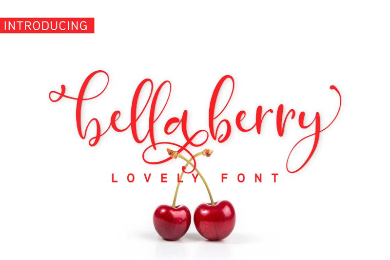 bellaberry-handwritten-script