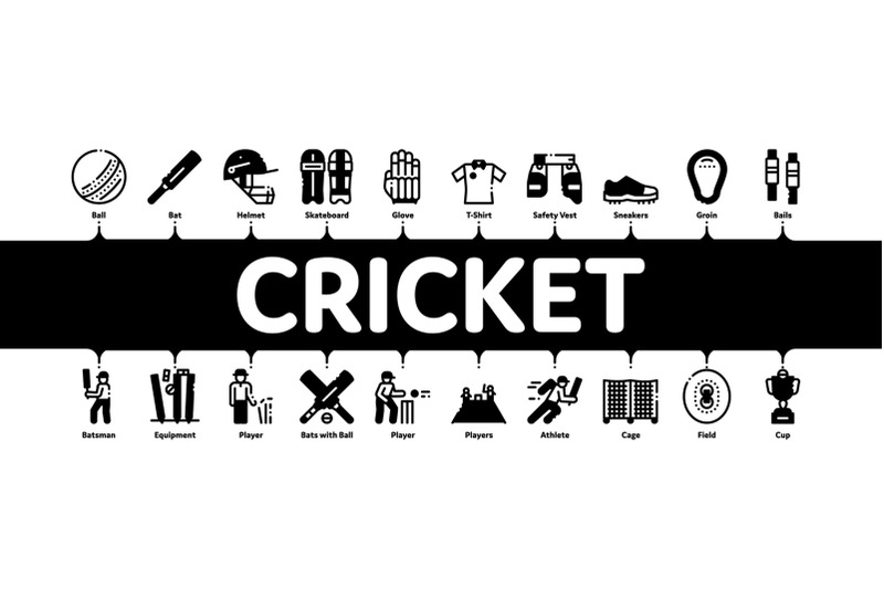 cricket-game-minimal-infographic-banner-vector