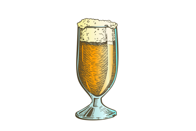color-drawn-classical-glass-with-foam-beer-vector