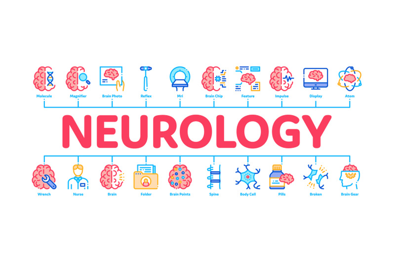 neurology-medicine-minimal-infographic-banner-vector