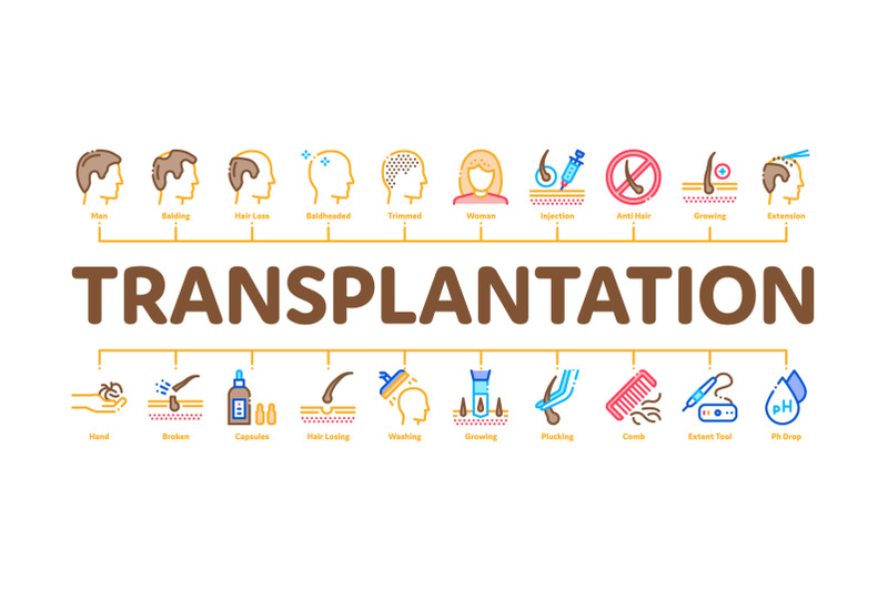 hair-transplantation-minimal-infographic-banner-vector