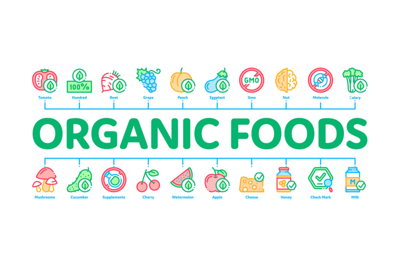 organic-eco-foods-minimal-infographic-banner-vector