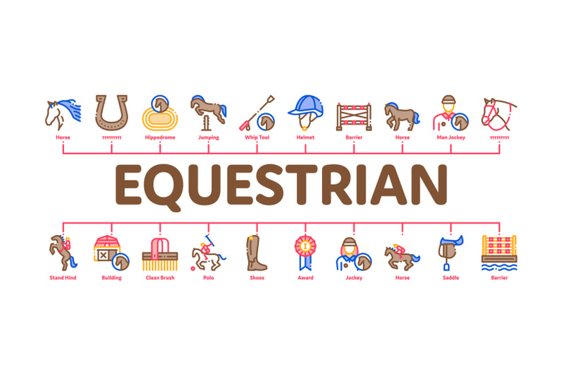 equestrian-animal-minimal-infographic-banner-vector