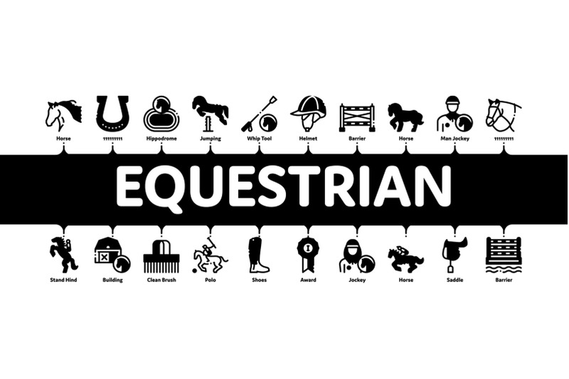 equestrian-animal-minimal-infographic-banner-vector