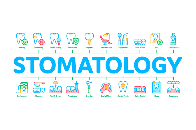 stomatology-minimal-infographic-banner-vector