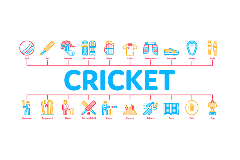 cricket-game-minimal-infographic-banner-vector