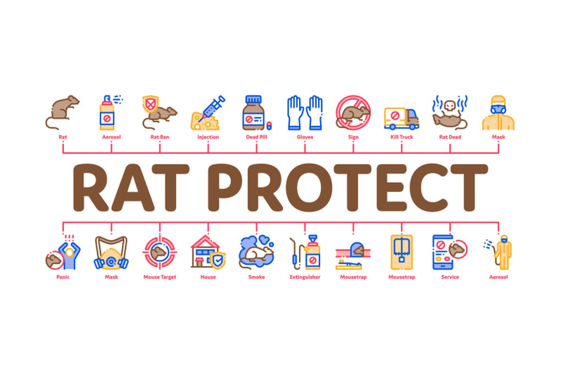 rat-protect-minimal-infographic-banner-vector