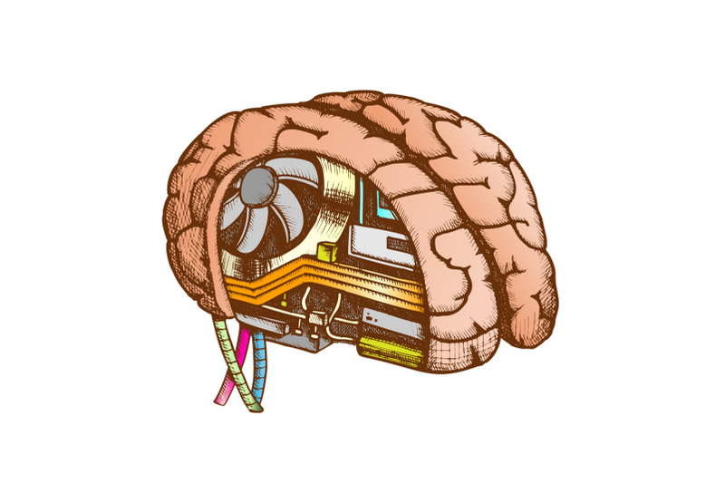 innovation-computer-chip-brain-color-vector