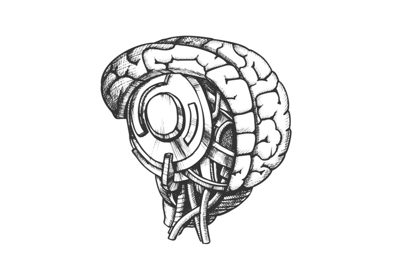 high-technology-robotic-brain-monochrome-vector