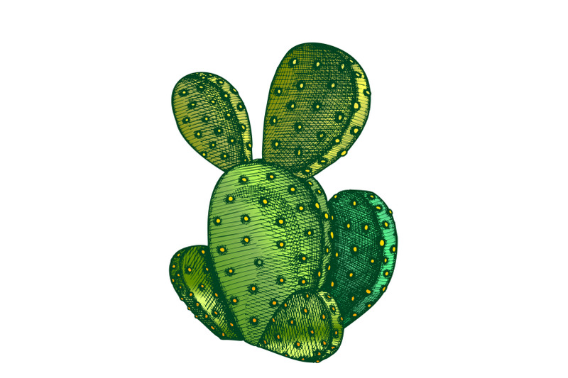 color-opuntia-azurea-prickly-pear-cactus-ink-vector
