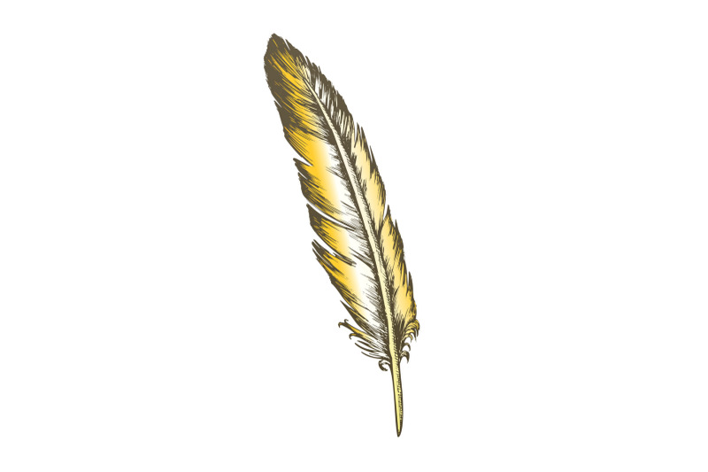 color-decorative-bird-flying-element-feather-vector