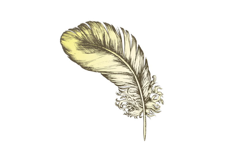 color-decorative-bird-flying-element-feather-ink-vector