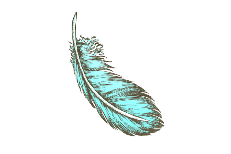 color-lost-bird-outer-element-feather-monochrome-vector