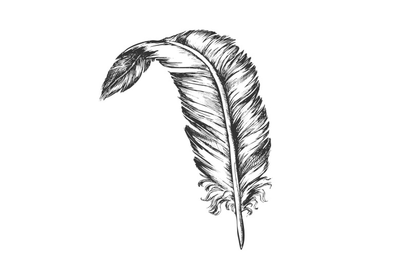decorative-bird-element-feather-vintage-vector