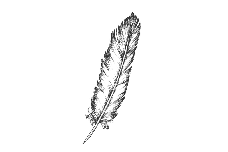 decorative-bird-element-feather-monochrome-vector