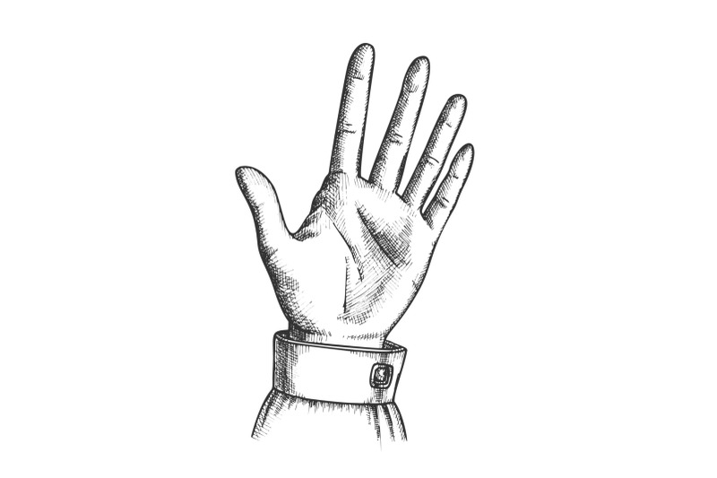 female-hand-make-gesture-five-fingers-up-vector