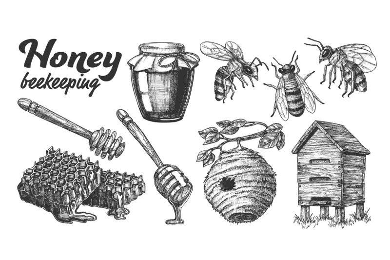 collection-honey-beekeeping-apiary-set-vector