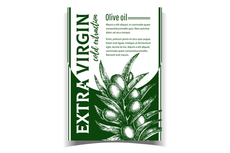 natural-fresh-olive-tree-branch-banner-vector