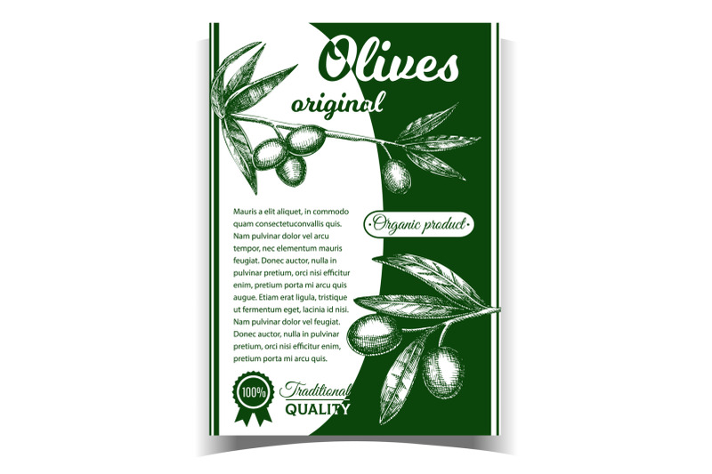 olives-original-organic-product-poster-vector