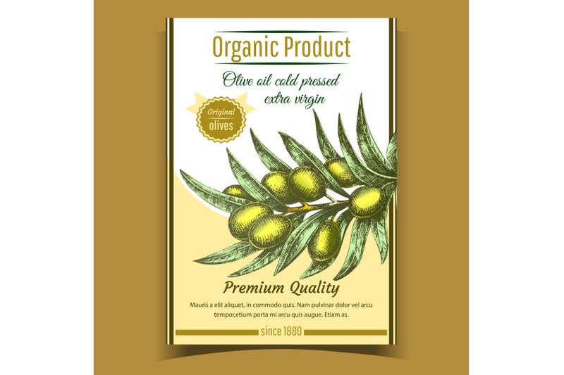 agricultural-fresh-olive-tree-branch-banner-vector