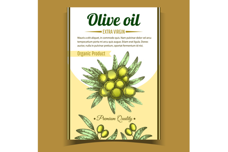 olive-extra-virgin-organic-product-poster-vector