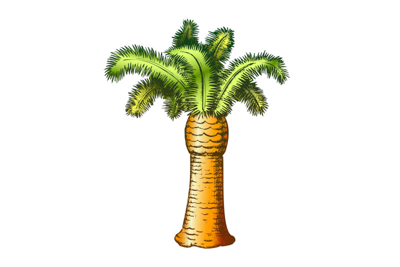 palm-coastline-tropical-tree-color-vector